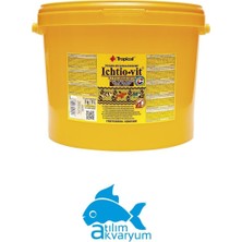 Tropical Ichtıo-Vıt Pul Yem, Tropikal Balık Yemi Yüksek Kaliteli 40 Gram
