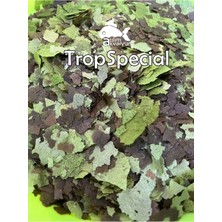 Atılım Akvaryum Tropheus Türleri için Özel Pul Yem - TropSpecial 40 Gram