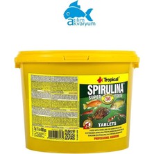 Tropical Cama Yapışan Yem Spirulina Super Forte Tablets 100 adet 40 gram