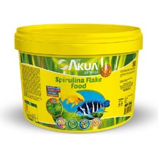 Art Aqua Lepistes Yemi, Molly, Plati, Tetra Yemi, Spirulinalı Pul Balık Yem 50 gram
