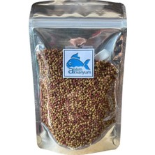 Atılım Akvaryum Yunus Balığı Yemi, Yunus Ciklet Kafa Yemi, Yüksek Proteinli Balık Yemi 50 Gram