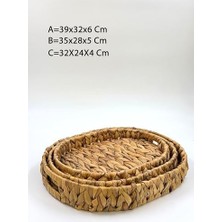 Naque Auracane 3'lü Hasır Tepsi Seti – Sunumluk ve Dekoratif Hasır Tepsi, Doğal Hasır El Örgüsü Tepsi, Mutfak ve Sofra Için Şık ve Estetik Sunum Tepsisi, Çok Amaçlı Hasır Sepet Tepsi Takımı (Oval)