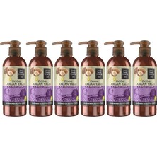 Naque Doğal Argan Yağlı El ve Vücut Losyonu 250 ml x 6 Adet