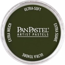 Panpastel Ultra Soft Artist Pastel Boya 660.3 Chromium Oxide Green Shade