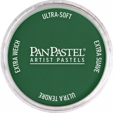 Panpastel Ultra Soft Artist Pastel Boya 640.1 Permanent Green Extra Dark
