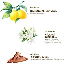 NW NessiWorld Kadın Roll On Deodorant 75 ml Fresh