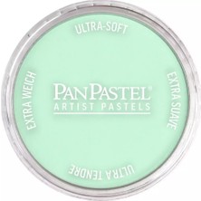 Panpastel Ultra Soft Artist Pastel Boya 640.8 Permanent Green Tint