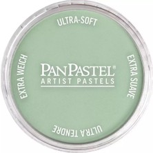 Panpastel Ultra Soft Artist Pastel Boya 660.8 Chromium Oxide Green Tint