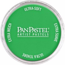 Panpastel Ultra Soft Artist Pastel Boya 640.5 Permanent Green