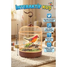 Craftivio Interaktif Müzikli Hareketli Kuş Kafesi Oyuncağı - Eğitici Şarkı Söyleyen Kanat Çırpan Kuş 36 cm