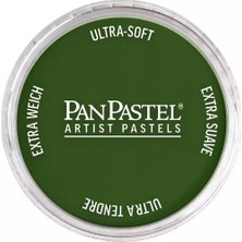 Panpastel Ultra Soft Artist Pastel Boya 660.5 Chromium Oxide Green
