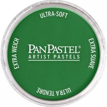 Panpastel Ultra Soft Artist Pastel Boya 640.3 Permanent Green Shade