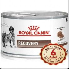 Royal Canin Recovery Yoğun Bakım Maması 195 gr x 6'lı Paket (Kedi ve Köpekler Için Iştah Açıcı, Şırınga Formu)