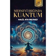 Naque Mesnevi Işığında Kuantum: 46 Hipnotik Hikaye Ile