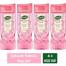 Dalan Duş Jeli Botanica Şakayık 450 ml x 4 Adet
