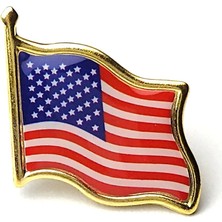 Tamgacrafts Amerika Birleşik Devletleri (Usa) Bayrak Rozeti Altın Metal Yaka Pin