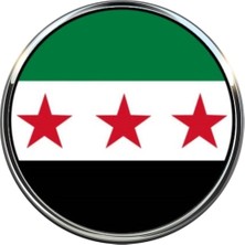 Tamgacrafts Özgür Suriye (Syria) Bayrak Rozeti Paslanmaz Çelik 3D Camlı Yaka Pin
