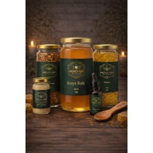 Obs 010 Kaya Balı Seti