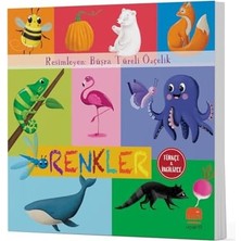 Esmo Home Renkler