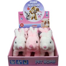 Vardem Oyuncak VRD10643 Peluş Evcil Tavşan Sesi ve Hareketli-Vrd