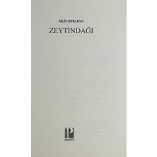 Esmo Home Zeytindağı