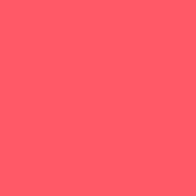 Esmo Home Lip Oil 20 Pink For Me Nemlendirici ve Parlatıcı Dudak Bakım Yağı, Pembe