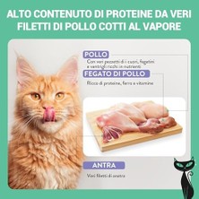 Esmo Home Schesir After Dark Tavuk ile Ördek Paté Yetişkin Kedi Konservesi 80G