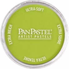 Panpastel Ultra Soft Artist Pastel Boya 680.5 Bright Yellow Green