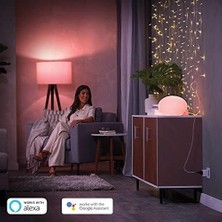 Esmo Home Hue Hue Işık Sistemleri Için Akıllı Priz, Lambaları Kontrol Etmek Için Akıllı Priz, Sesli Kumanda ve Her Yerden Uygulama ile Uyumlu, Beyaz