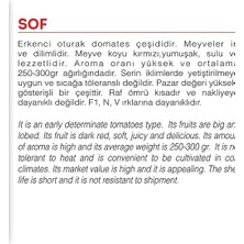 Yenibağ Tarım Ata Tohumu Yerli Doğal Köy Domatesi 100 Adet Tohum