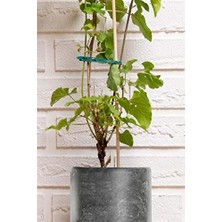 Esmo Home BXGTTO7062-50 Adet Bitki Bağlayıcı - Ayarlanabilir Bitki Klipsleri - Plastik - Yeşil