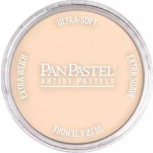 Panpastel Ultra Soft Artist Pastel Boya 740.8 Burnt Sienna Tint