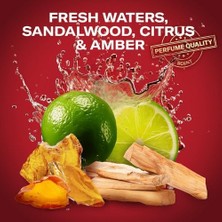 Esmo Home Old Spice Whitewater Erkekler Için Duş Jeli ve Şampuan 1000 ml Ekstra-Xl