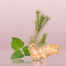 Esmo Home Calvin Euphoria Men Deodorant Stick 75GR Erkek Deo Stick 1 Paket (1 x 75 G)