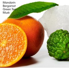 Esmo Home Calvin Ck One 75 gr Deodorant Stick, 88300108978