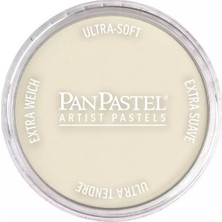 Panpastel Ultra Soft Artist Pastel Boya 780.8 Raw Umber Tint