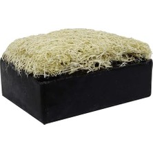 Esmo Home Doğal Kabak Lifli Aktif Karbon Sabunu 120 gr x 2 Adet Tüm Cilt Tipleri Için Kırışıklık ve Yaşlanma Karşıtı