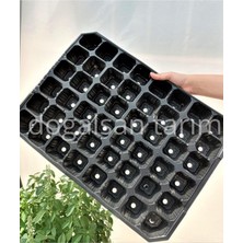 Yenibağ Viyolü 48 Göz 2 Adet Fide Viyol Fide Viyolleri Fide Yetiştirme Kabı Tohum Ekim Kabı Fidelik Siyah