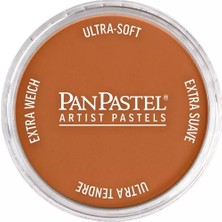 Panpastel Ultra Soft Artist Pastel Boya 740.5 Burnt Sienna
