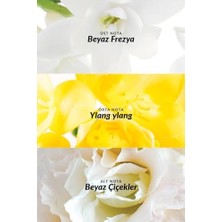 Esmo Home Pur Blanca Kadın Roll On 50 Ml.