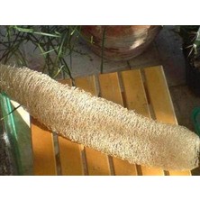 Esmo Home Lif Sünger Kabağı Tohumu (Sponge Gourd)