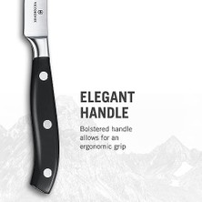 Esmo Home Victorinox 10CM Dövme Çelik Soyma Bıçağı
