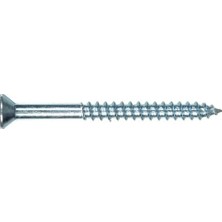 Esmo Home The Group 40171 30,5 cm x 9,5 cm Düz Başlı Phillips Ahşap Vida, 100'LÜ Paket