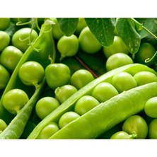 Yenibağ Bezelye Tohumu Araka