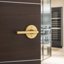 Esmo Home Iç Kapı Kolu, Dolap ve Koridor Kapıları Için Kol, Ters Çevrilebilir Kilitlemesiz Kol Kolu Pirinç, Mikroban Korumalı