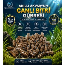 Aqua Expert Akvaryum Bitkileri Için Akıllı Kapsül Gübre | 10 Adet | 9 Ay Etkili | Dengeli Besin Desteği