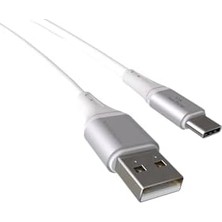 Esmo Home Wahoo USB A-C 3.1A Hızlı Şarj Kablosu, Beyaz/gümüş Metal (100 Cm)