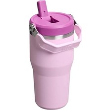 Esmo Home Stanley Iceflow Flip Straw Tumbler Pipetli Termos Bardak, Kiraz Çiçeği (Cherry Blossom), 0.60 Litre