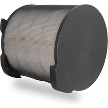 Esmo Home Purmed Electrolux Pure A9 PA91-404GY - PA91-404DG Hava Temizleyici Uyumlu, Rfıd Etiketli Hepa + Karbon Filtre