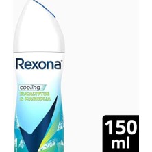 Esmo Home Rexona Thermocool Kadın Sprey Deodorant Eucalyptus & Magnolia 150 ml